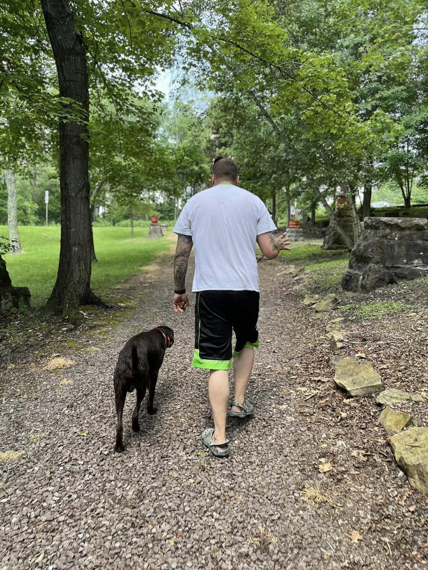 A man is walking a dog on a leash in a park.