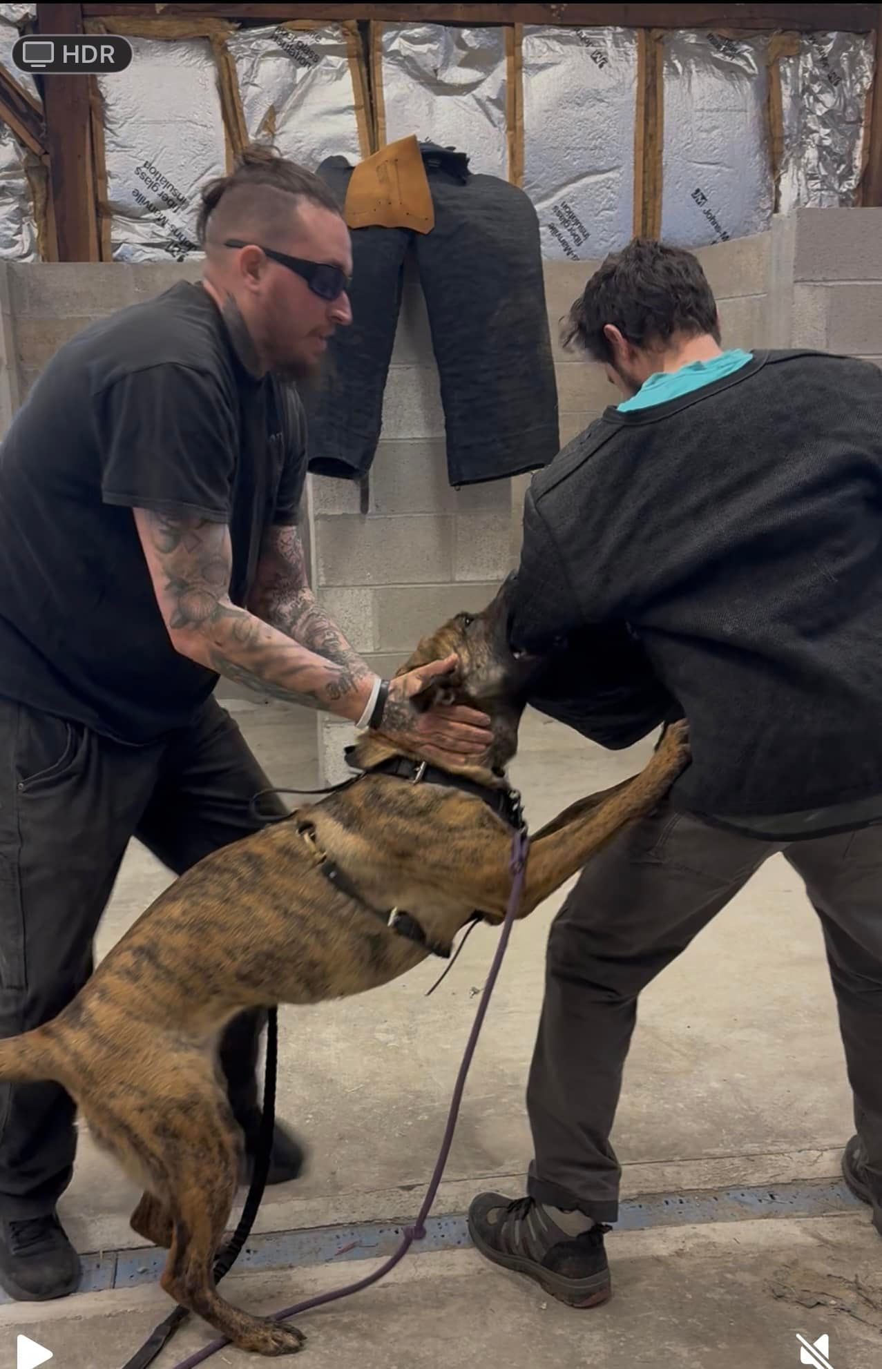 Two men are playing with a dog in a garage.