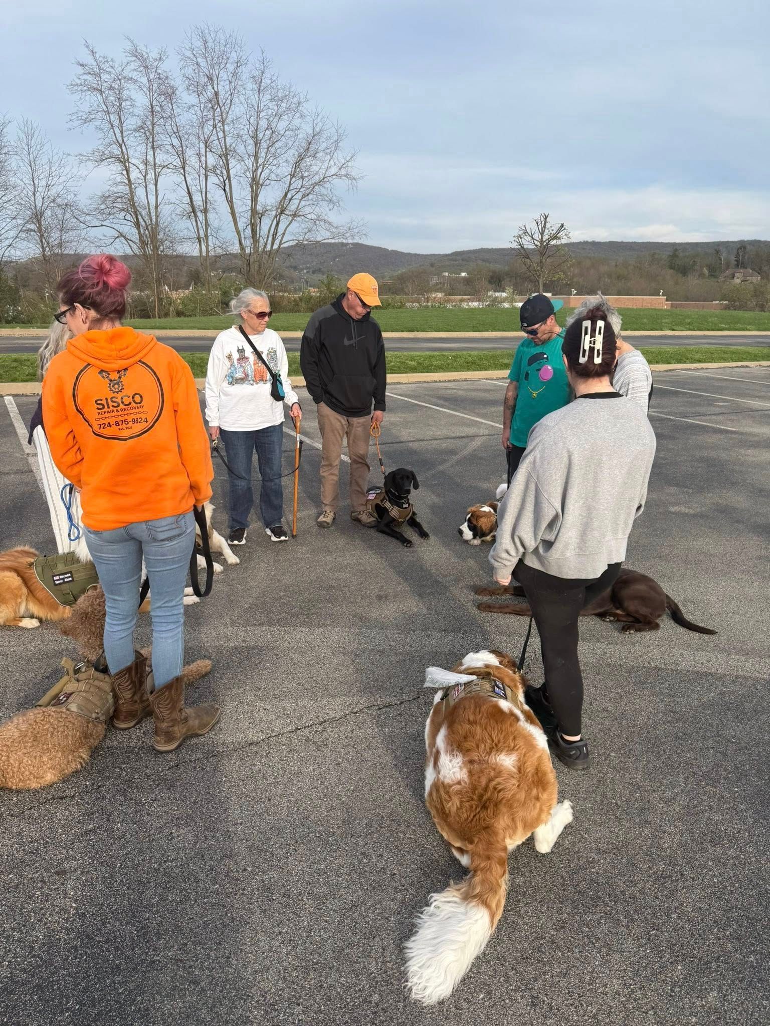 A group of people are standing around a group of dogs in a parking lot.