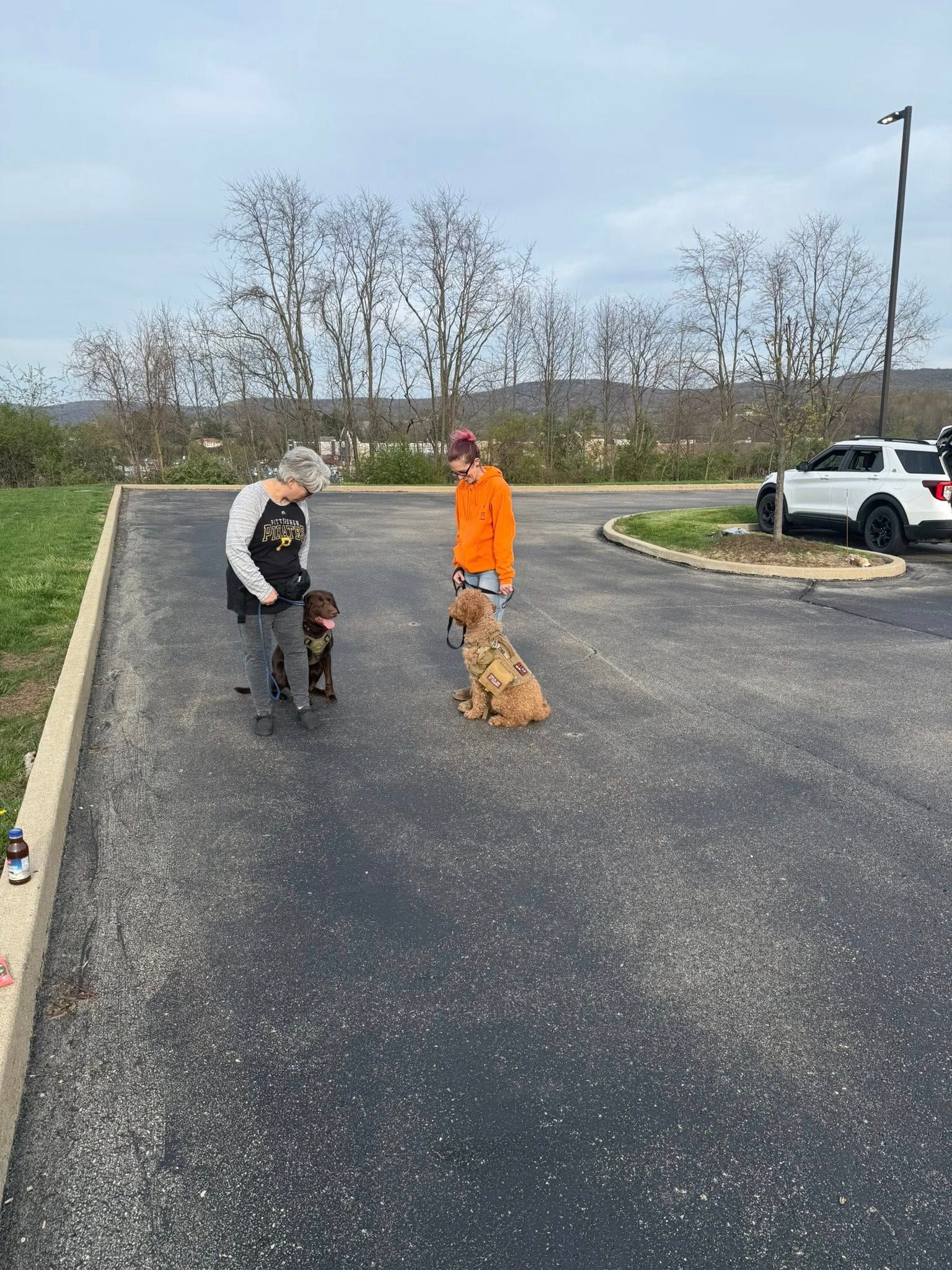 Two people are standing next to two dogs in a parking lot.