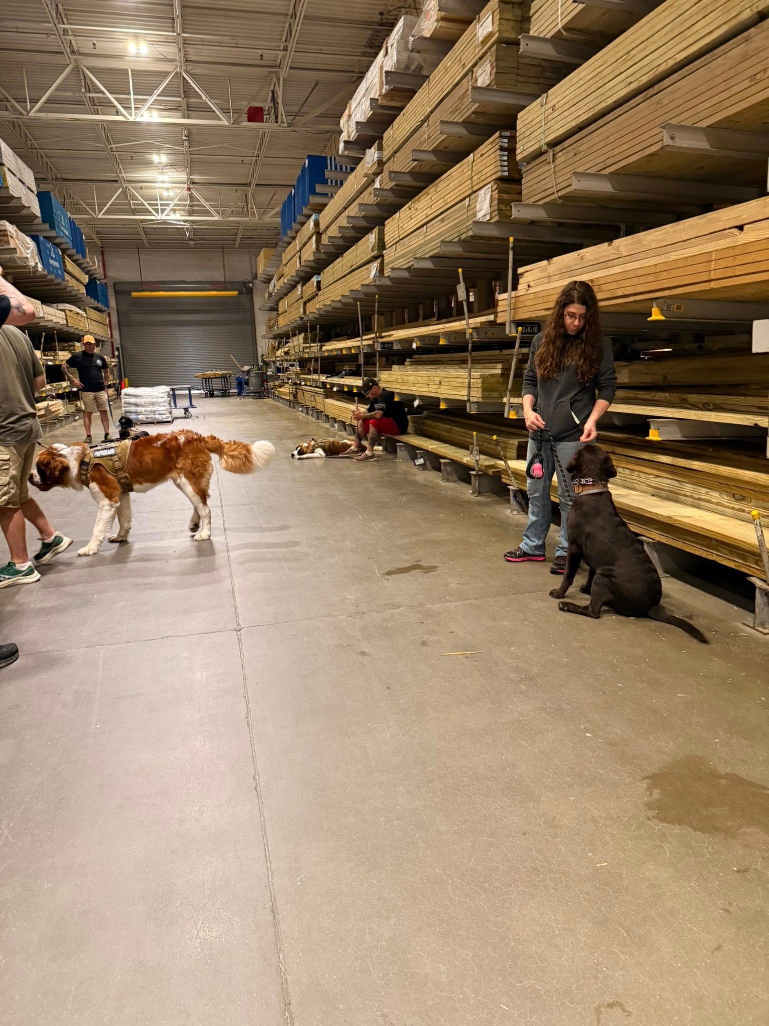 A woman is standing next to two dogs in a warehouse.