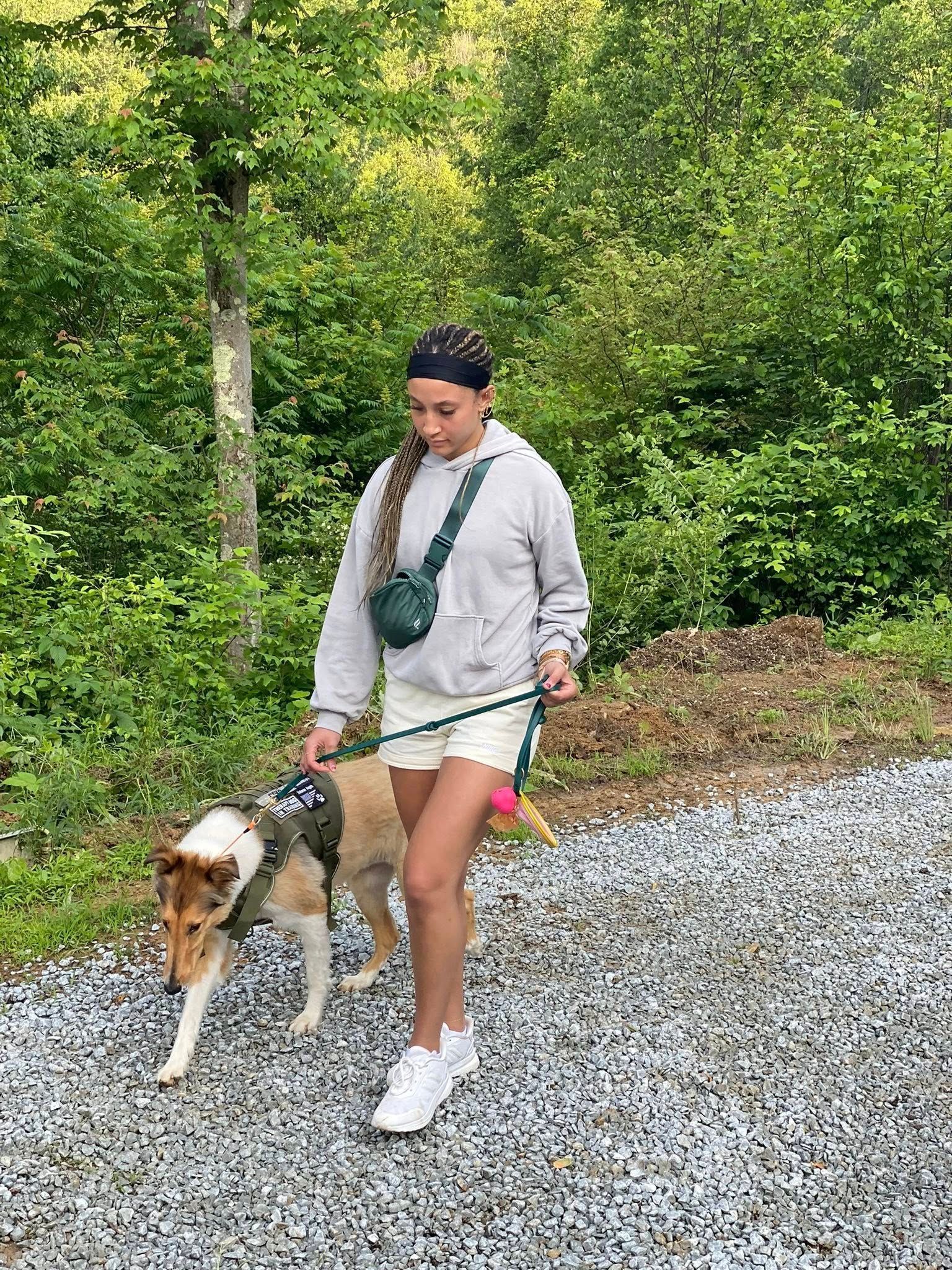 A woman is walking a collie dog on a leash.