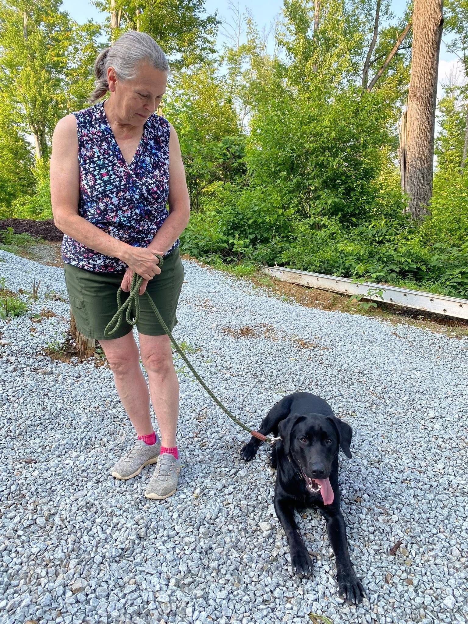 A woman is walking a black dog on a leash.