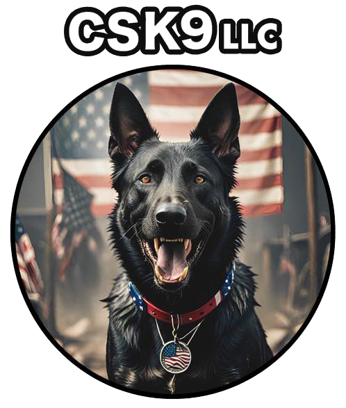 A black german shepherd dog with an american flag in the background