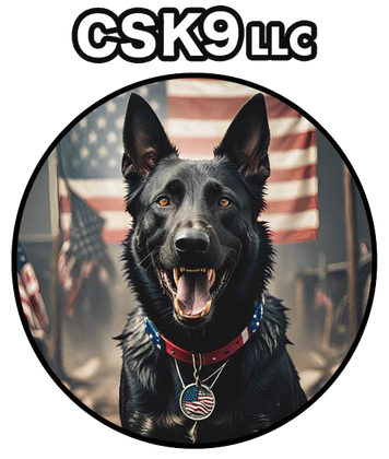 A black german shepherd dog with an american flag in the background