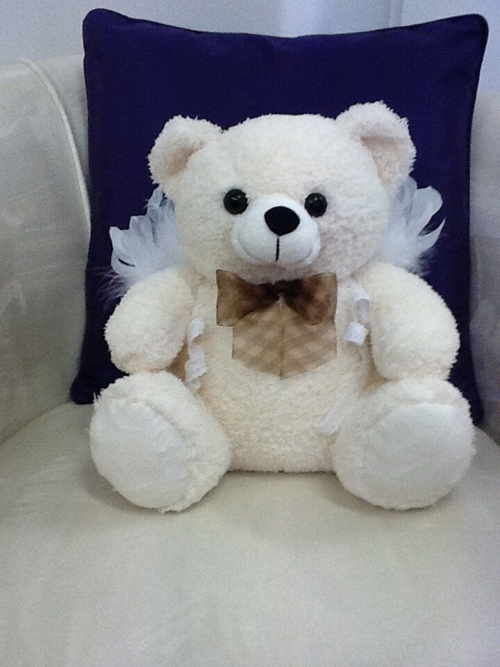 Teddy Urn – Funeral tributes in Rockhampton, QLD