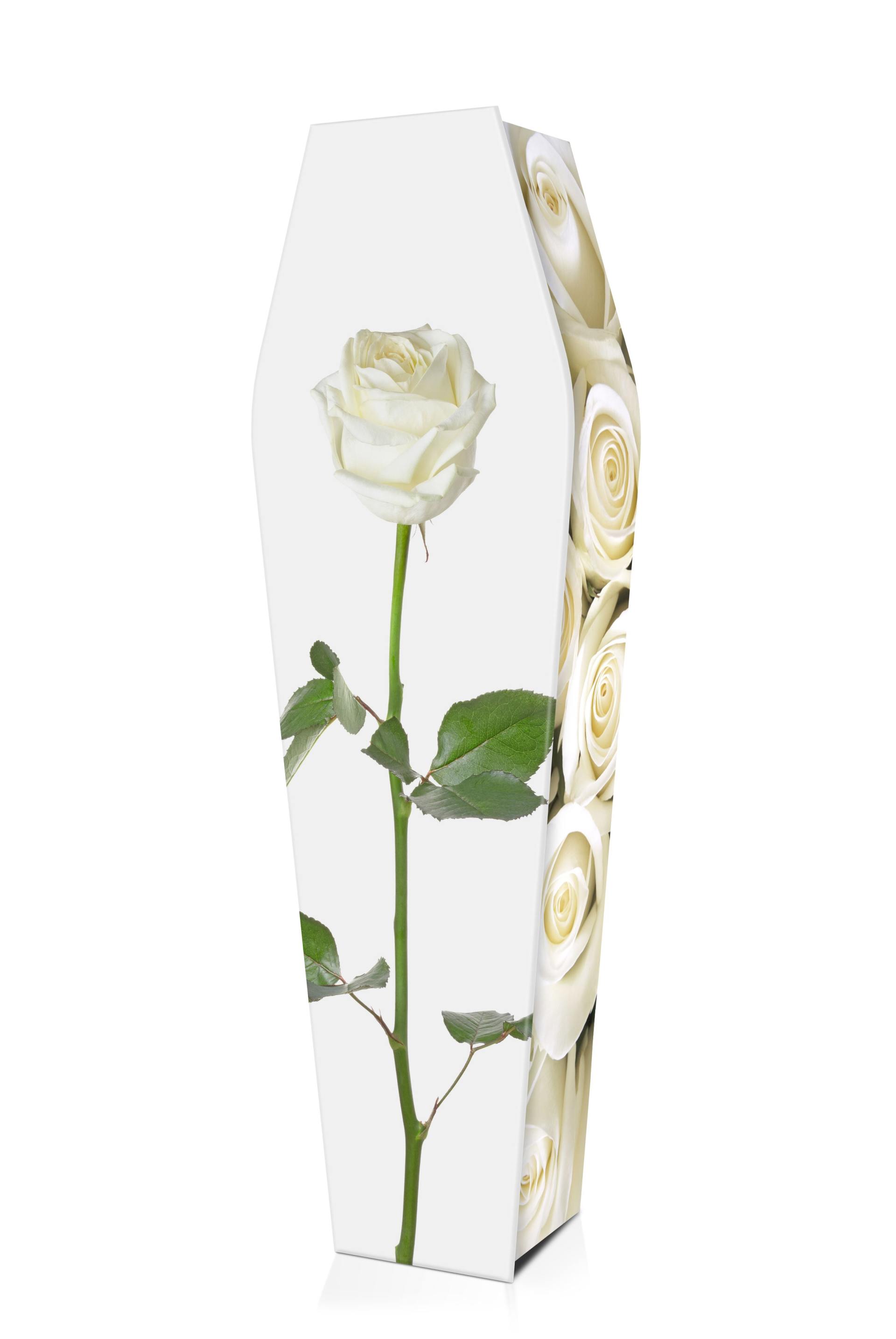 WHITE-ROSES-(LID-VIEW) – Funeral tributes in Rockhampton, QLD