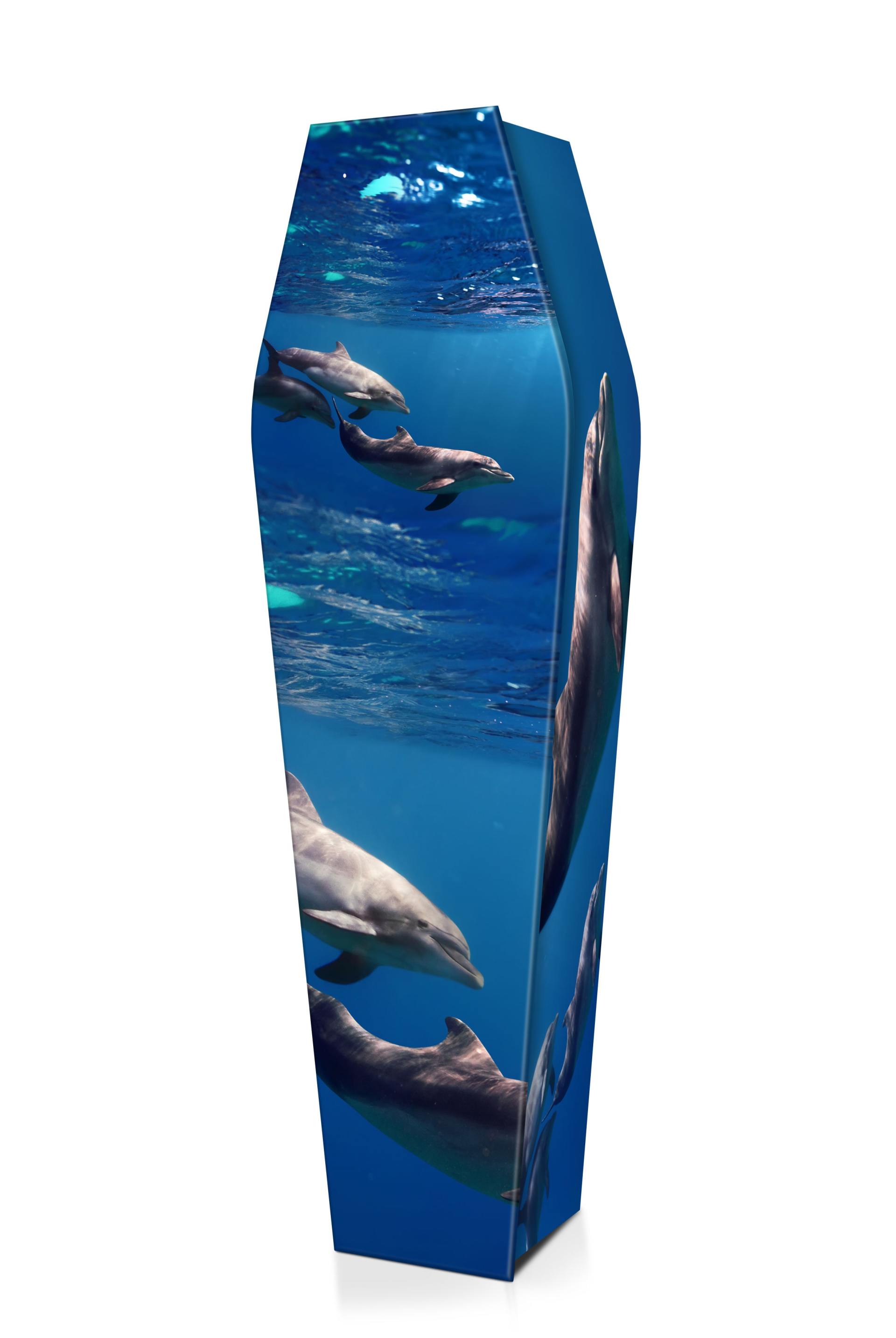 PACIFIC-DOLPHINS-(LID-VIEW) – Funeral tributes in Rockhampton, QLD