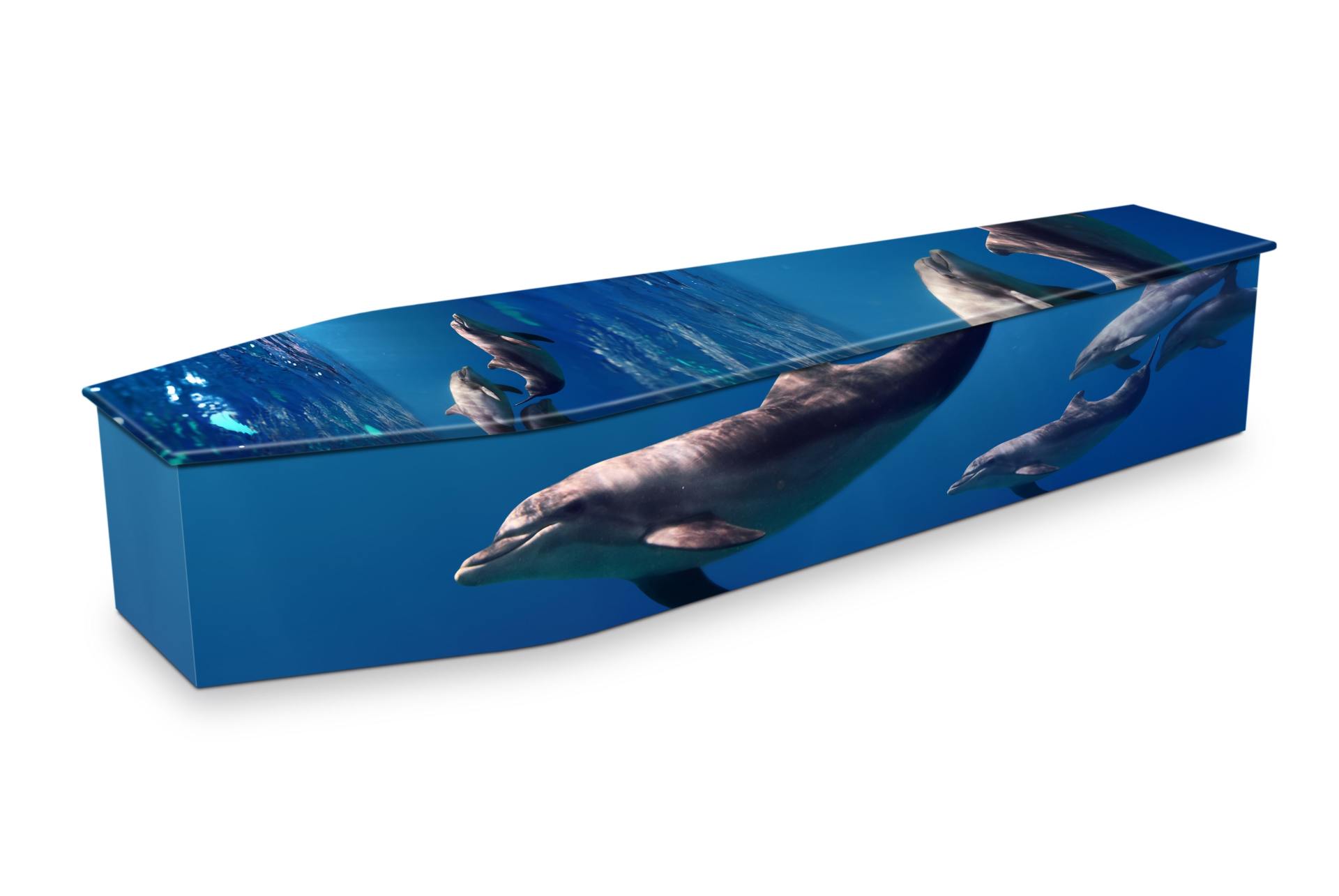 PACIFIC-DOLPHINS – Funeral tributes in Rockhampton, QLD