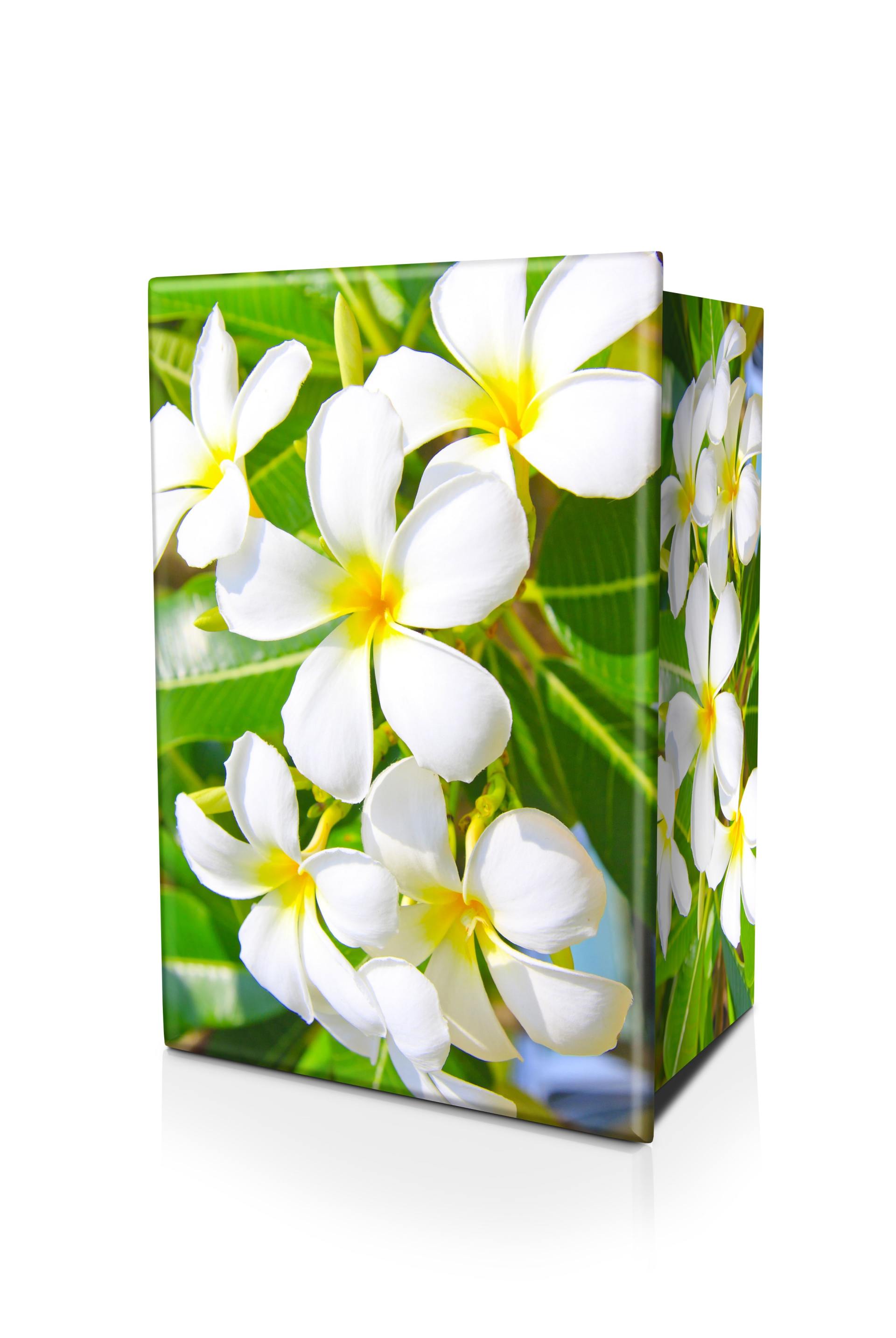 FRANGIPANI-FLOWERS-ASHES-URN-(LID-VIEW) – Funeral tributes in Rockhampton, QLD