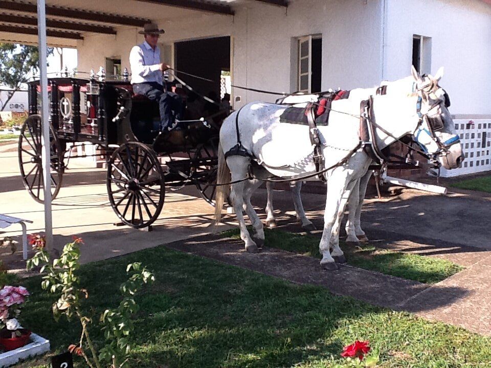 28th January 2014 006 – Funeral tributes in Rockhampton, QLD