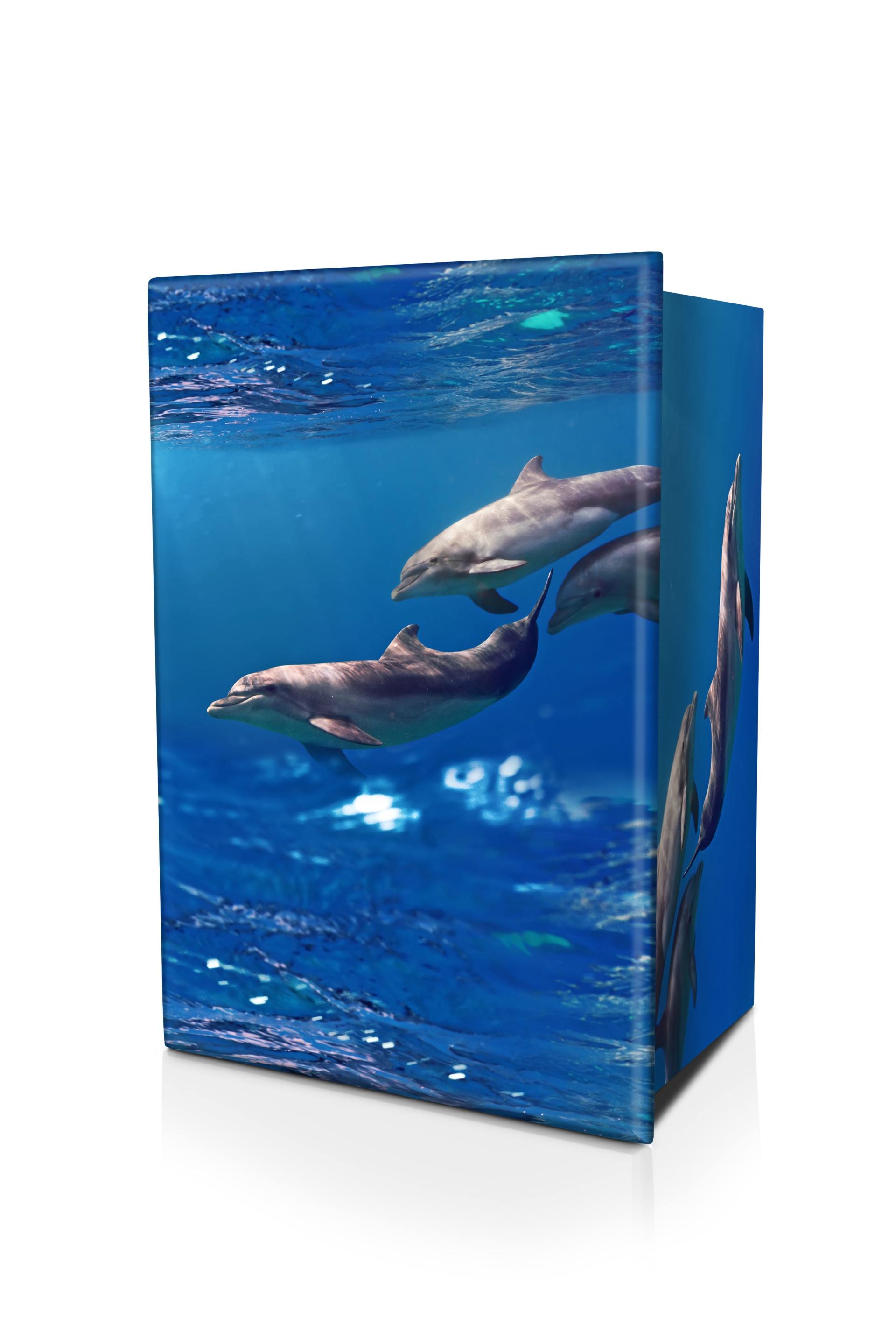 PACIFIC-DOLPHINS-ASHES-URN-(LID-VIEW) – Funeral tributes in Rockhampton, QLD