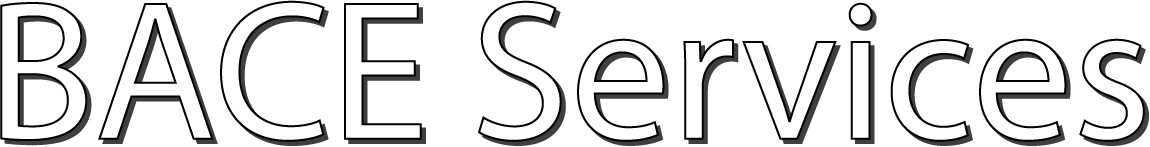BACE Services logo BACE Services logo