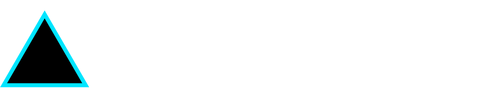 Triangle icon Cost Management