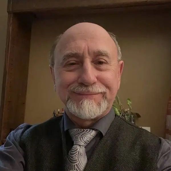 A bald man with a beard is wearing a vest and tie.