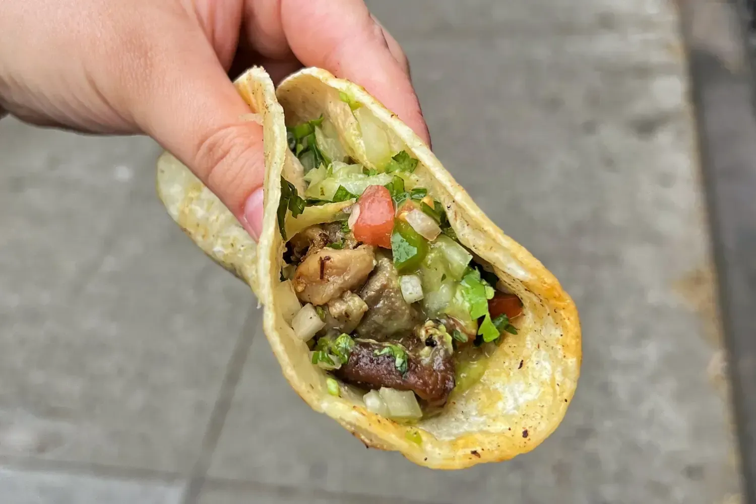 Taco From Little Taco House Greenwich Village NYC