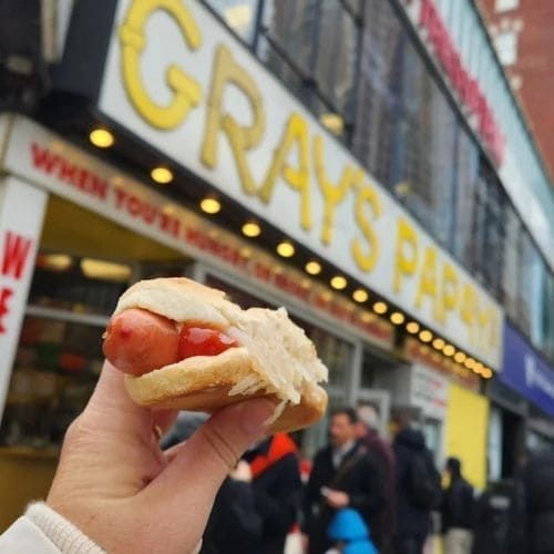 Hot Dog From Gray's Papapaya
