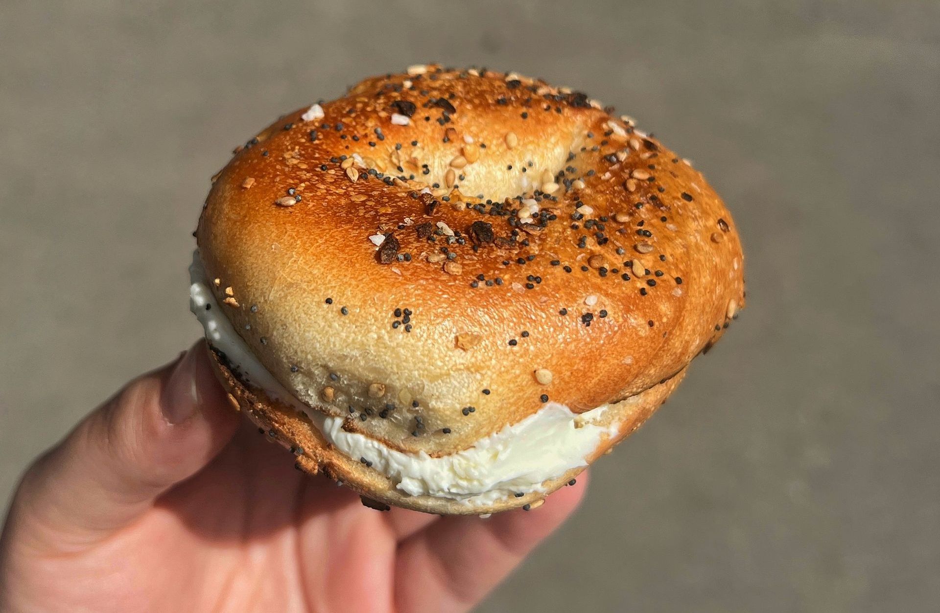 New York Style Bagel with Everything Cream Cheese