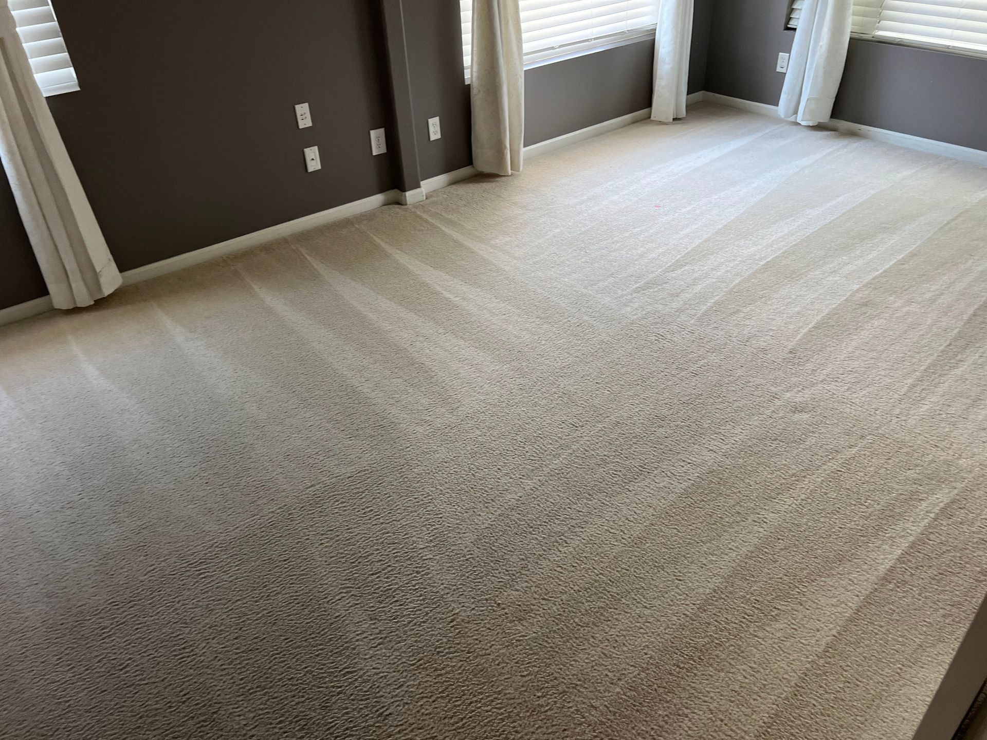 A bedroom with a large carpeted floor and brown walls.