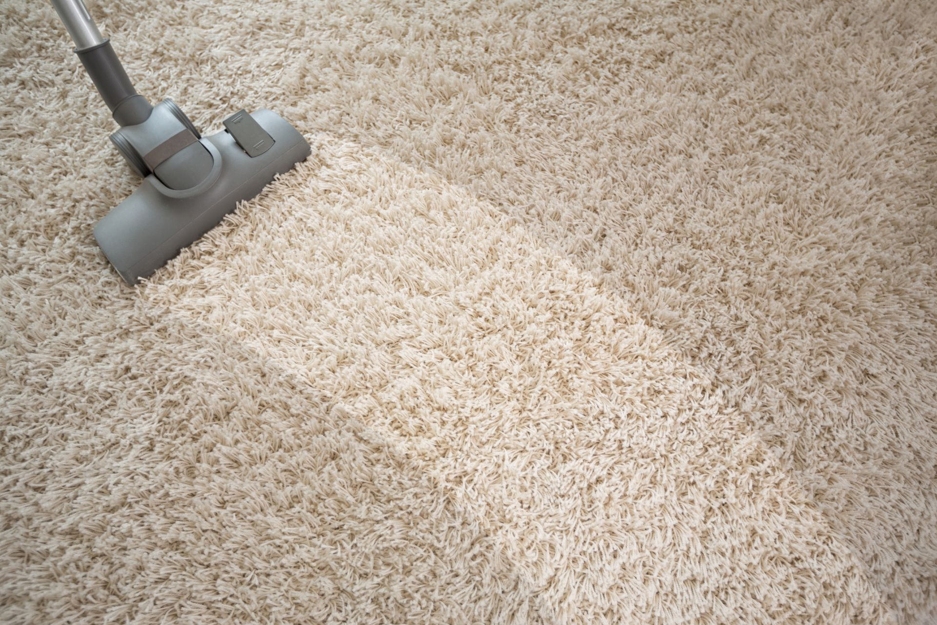 A vacuum cleaner is being used to clean a carpet.