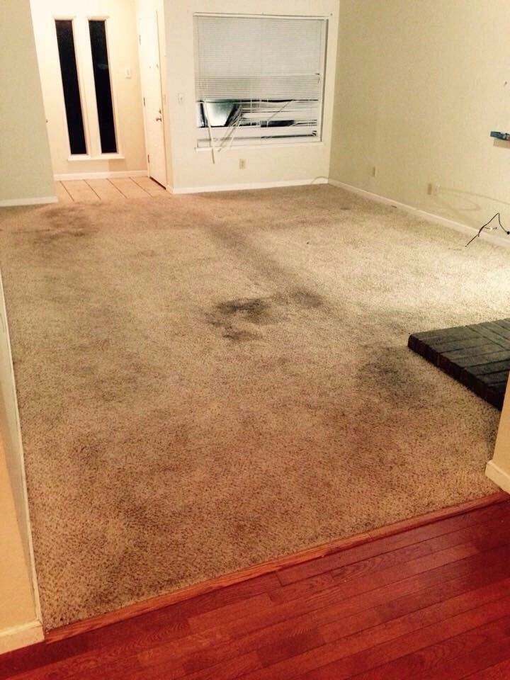 A living room with a dirty carpet and a wooden floor.