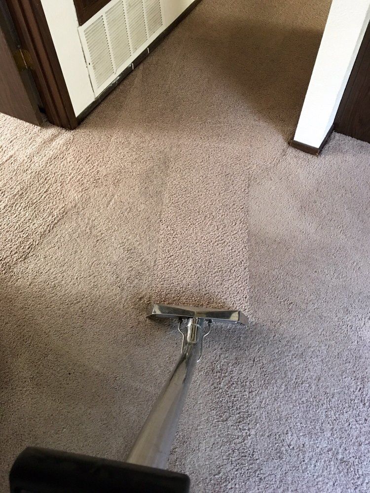 A vacuum cleaner is cleaning a carpet in a room.