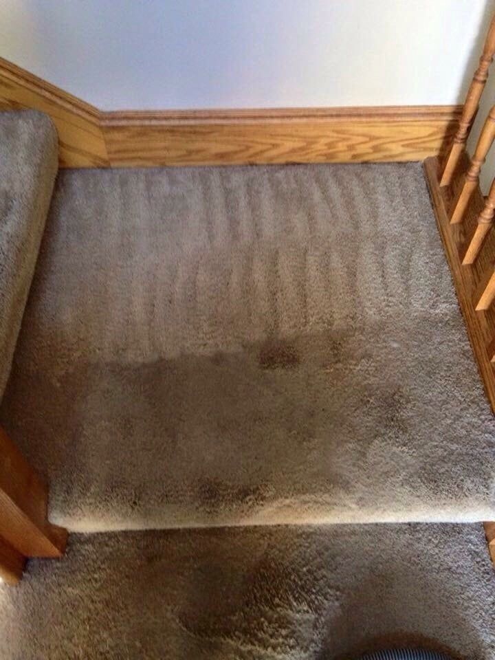A carpeted staircase with a stain on the bottom of it.