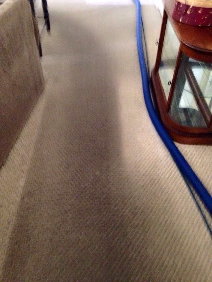 A person is cleaning a carpet in a living room with a blue hose.