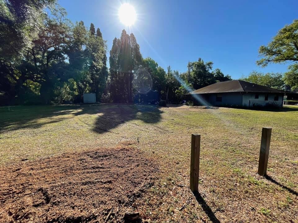 The sun is shining through the trees on a sunny day