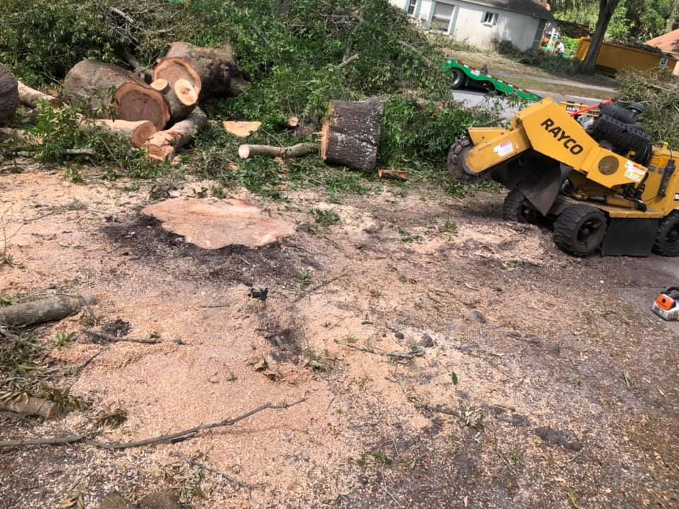 A yellow stump grinder is cutting a tree stump.