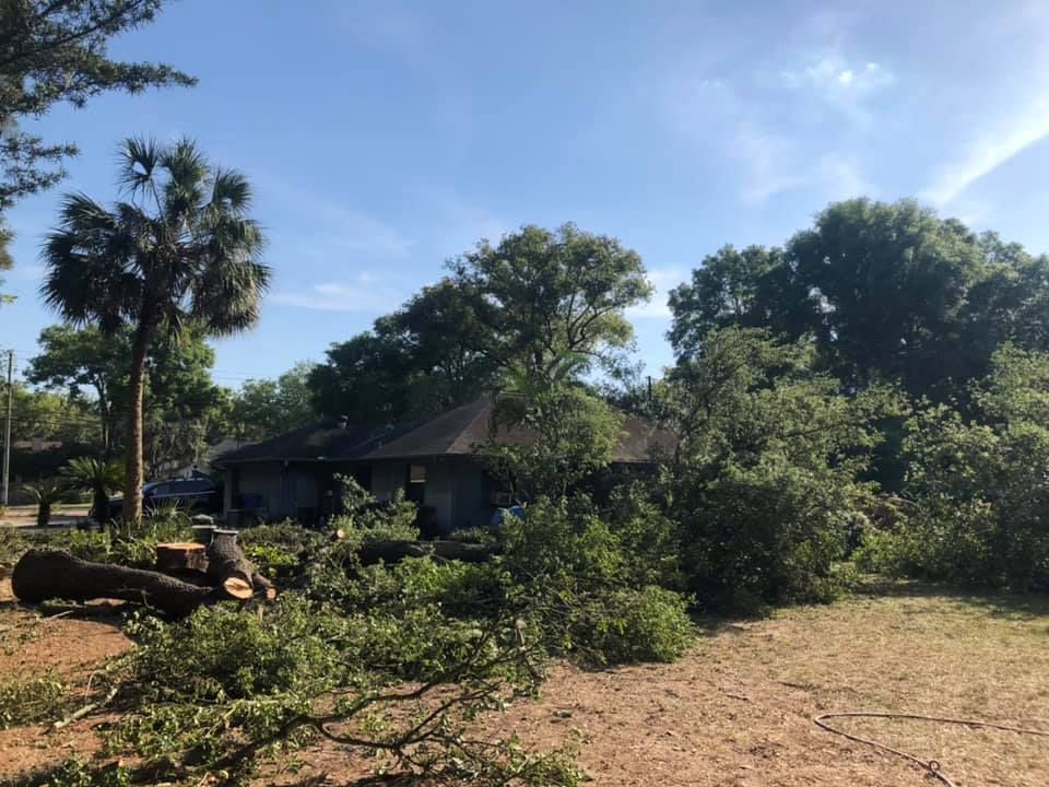 A house with a lot of trees in front of it