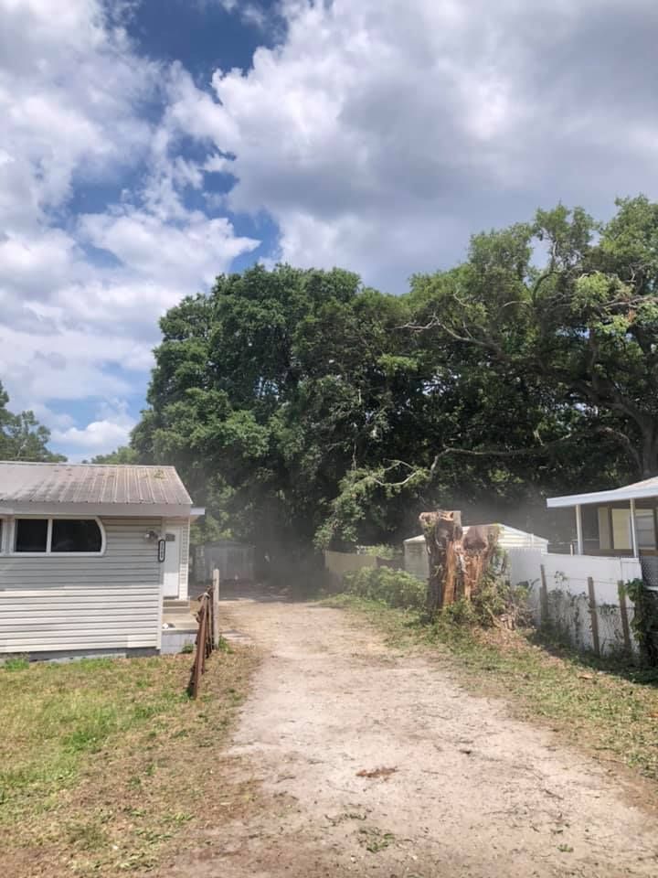 A dirt road leading to a house with trees in the background