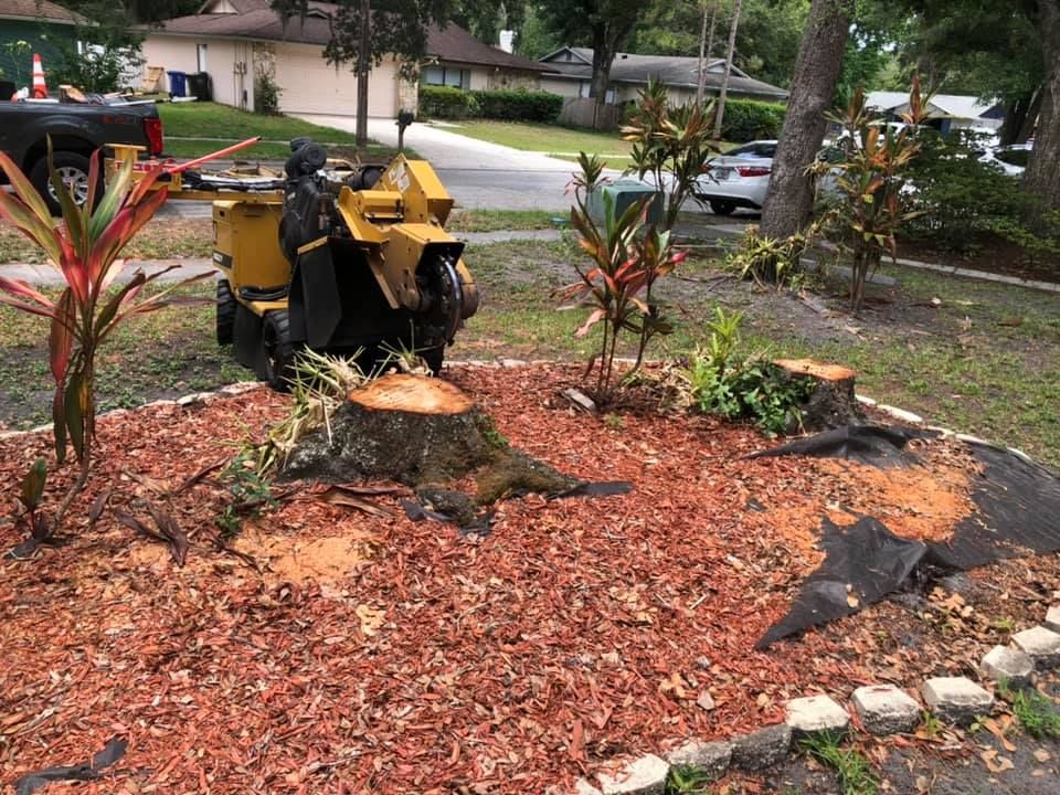 A stump grinder is sitting on top of a tree stump in a yard.