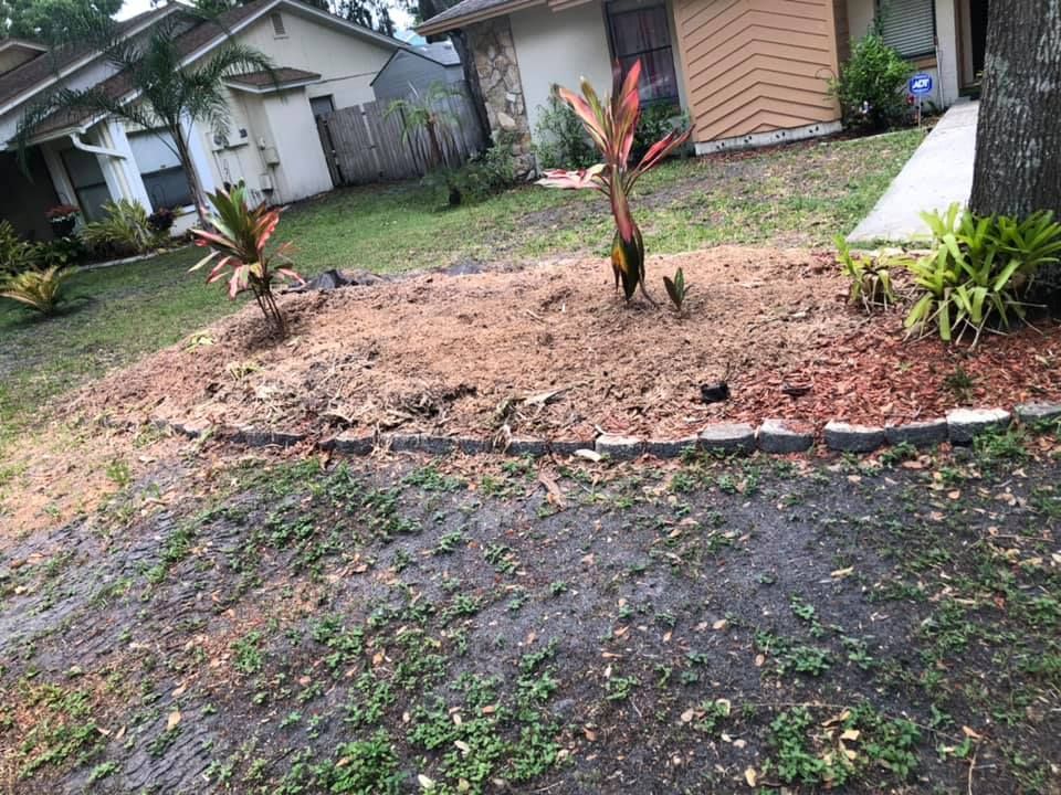 A lawn with a lot of dirt and plants in front of a house.