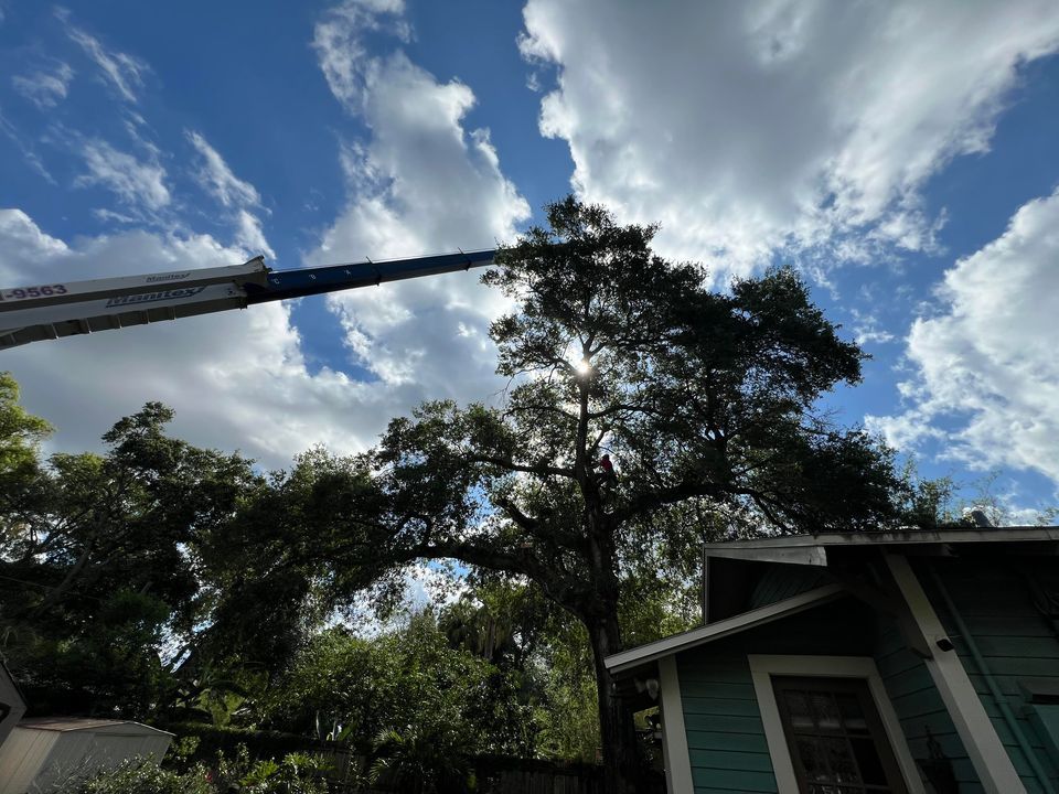 A crane is cutting a tree in front of a house.