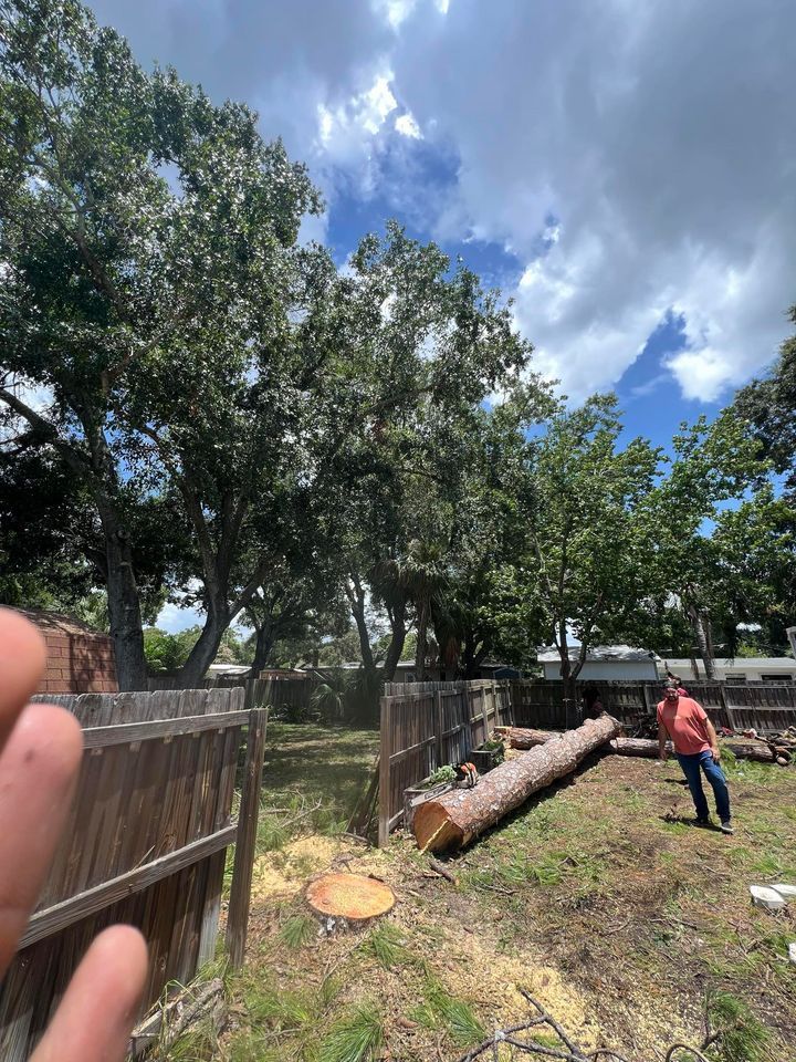 A person is standing in a yard with a large log in the middle of it.