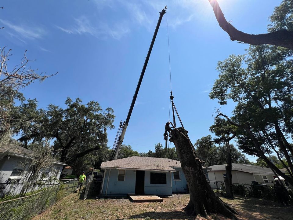 A crane is lifting a tree in front of a house.