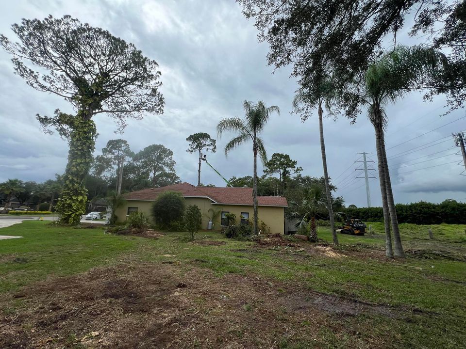 A house with palm trees in front of it