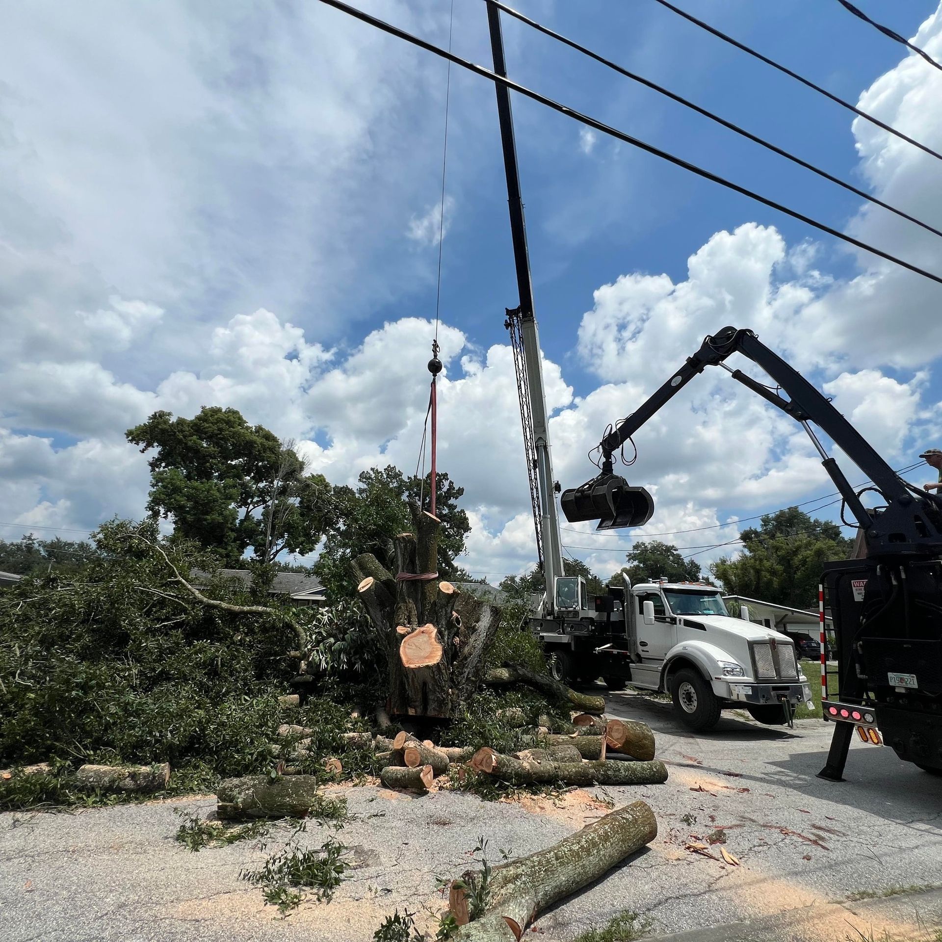 A truck with a crane attached to it is cutting down a tree