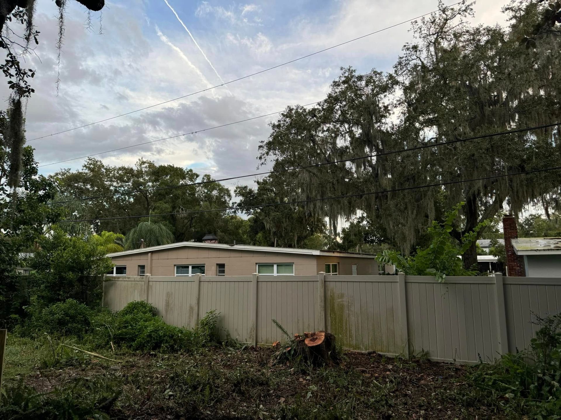 A white fence surrounds a yard with a house in the background.