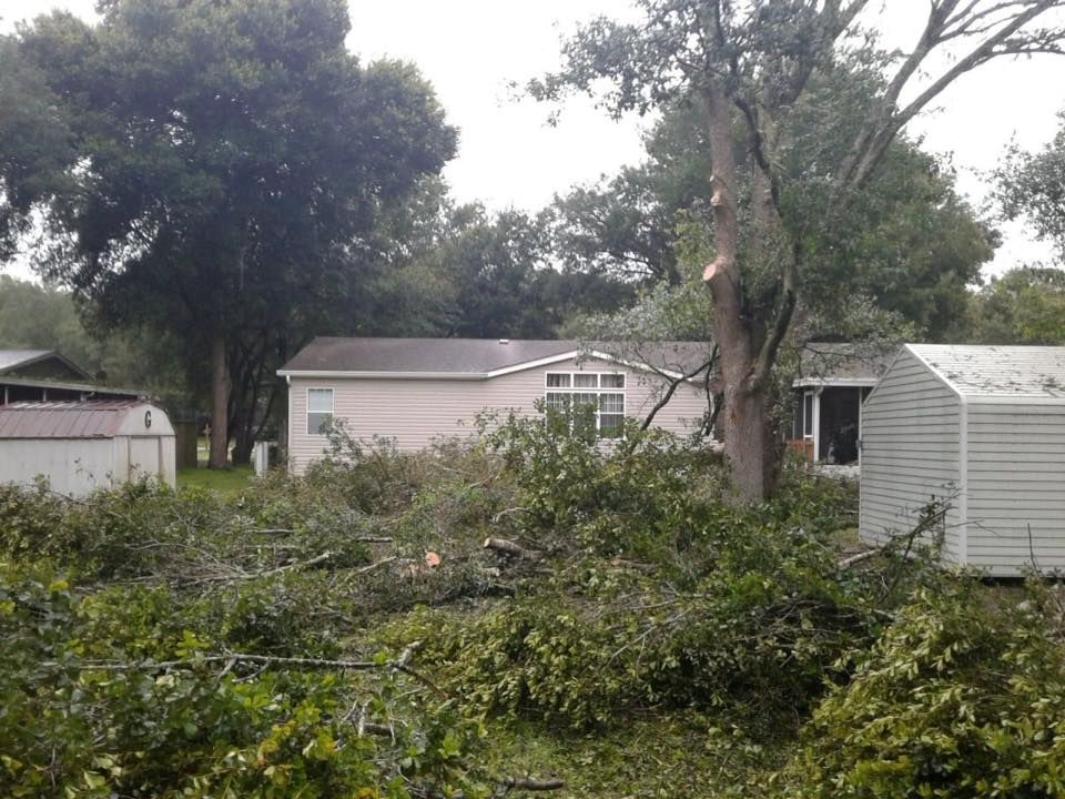 A mobile home is surrounded by trees and bushes