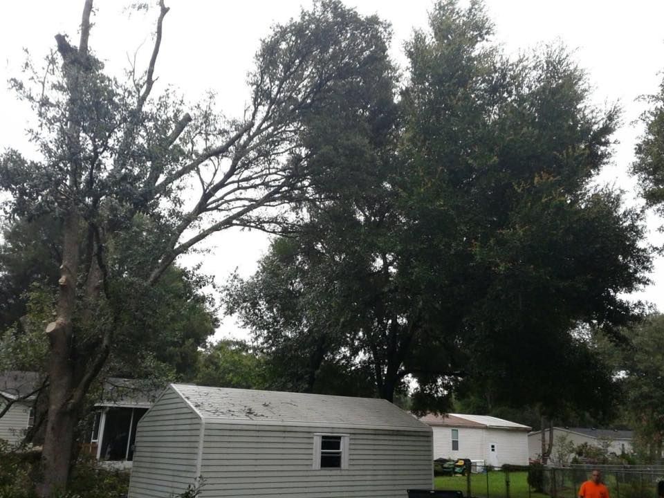 A white house with a large tree in front of it.