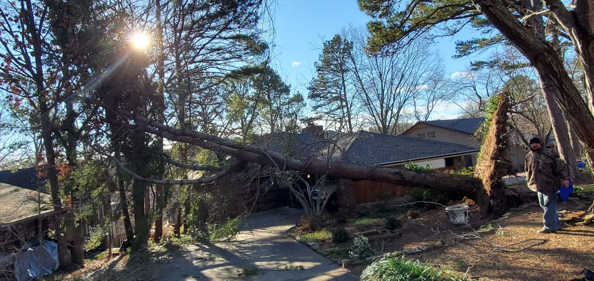 Brown's tree care tree has been uprooted and has fallen over a driveway