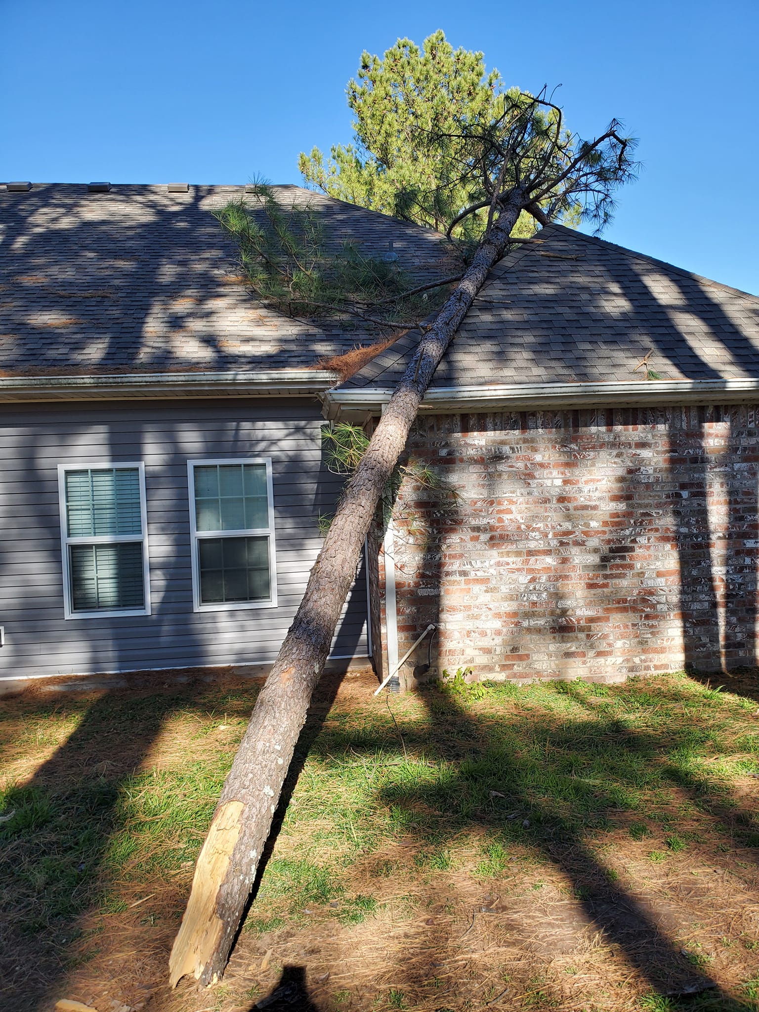Brown's tree care fallen tree on roof
