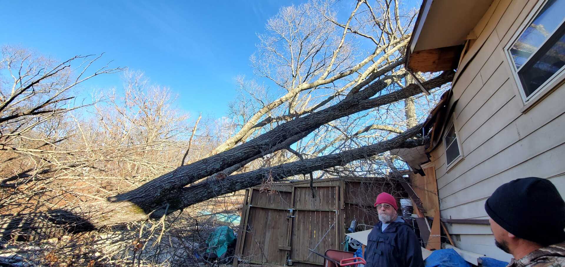 Brown's tree care tree fallen on fence and part of house