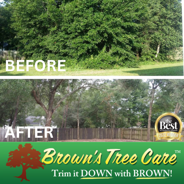 Before and After a tree trimming with Brown's Tree Care.