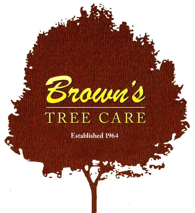 Brown's Tree And STUMP Service