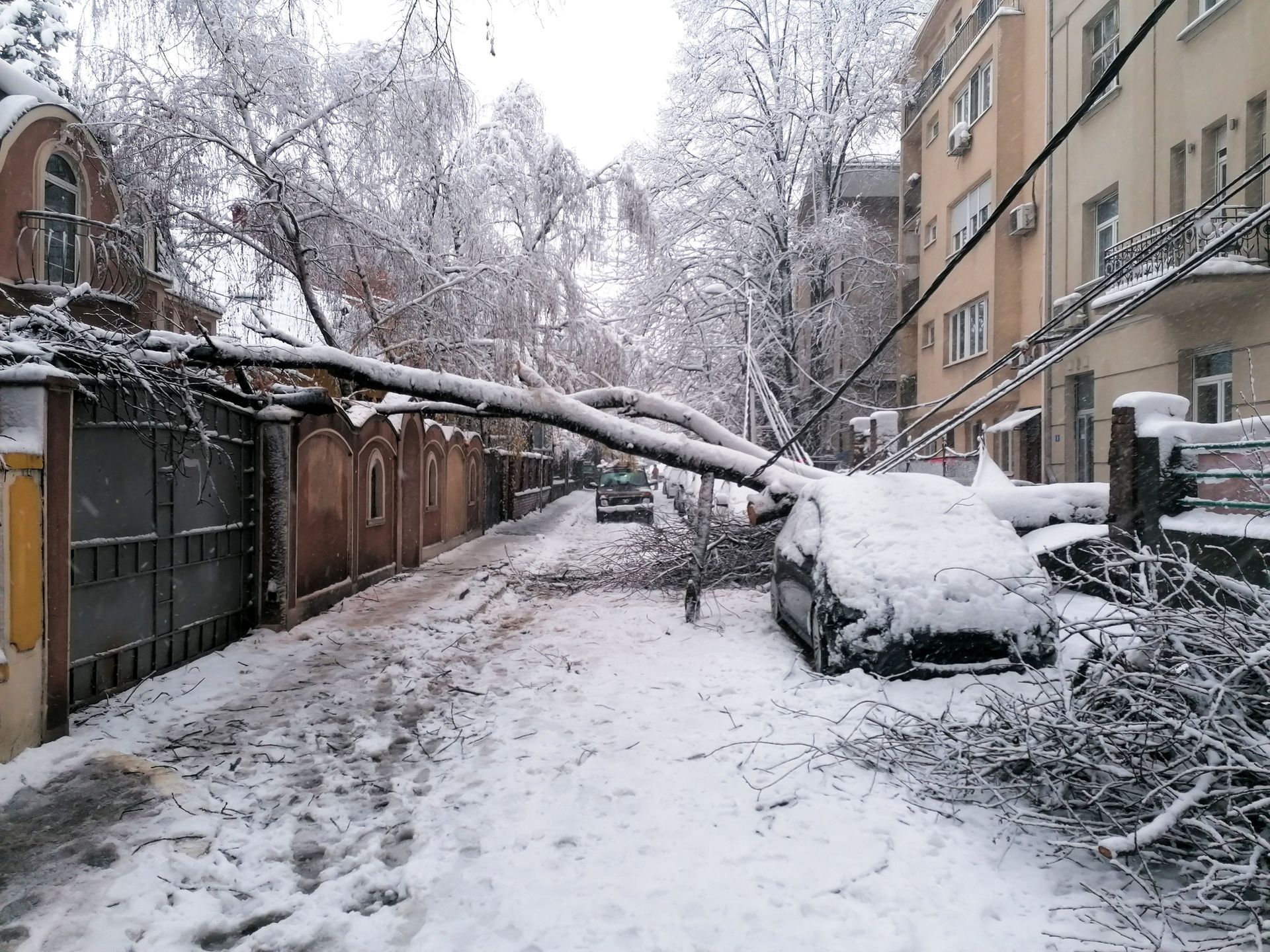 A tree covered in snow fell on a residential fence.