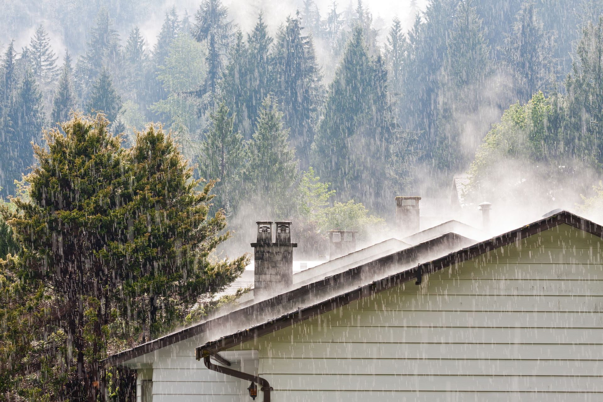 Rain falling over trees and a house