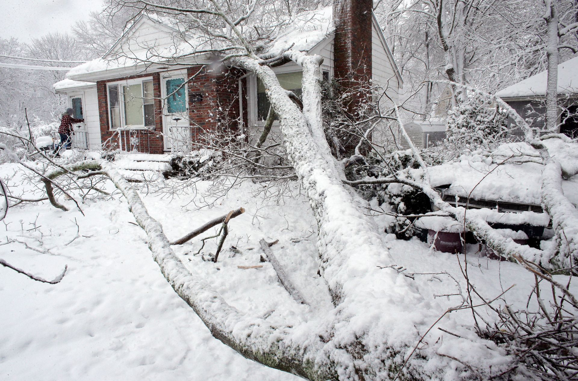 tree fallen on a car due to heavy snow